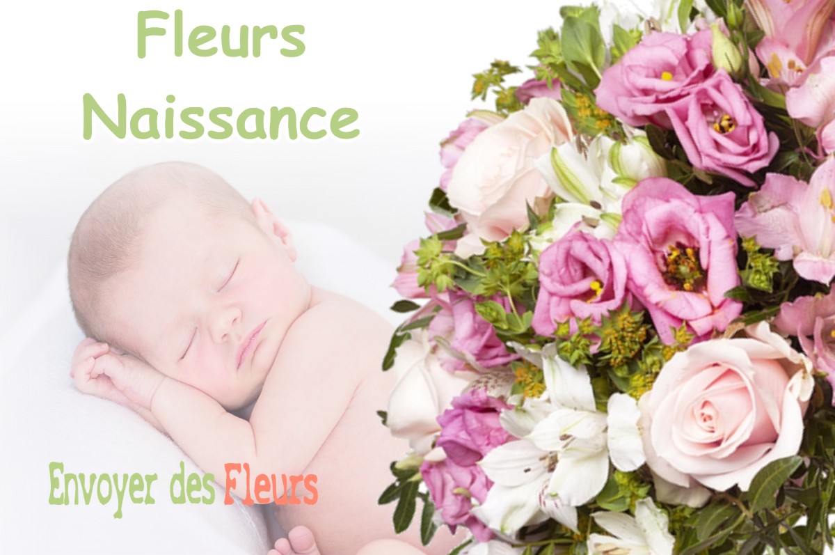 lIVRAISON FLEURS NAISSANCE à VILLERS-AUX-VENTS